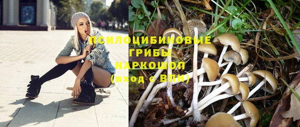 твердый Абдулино